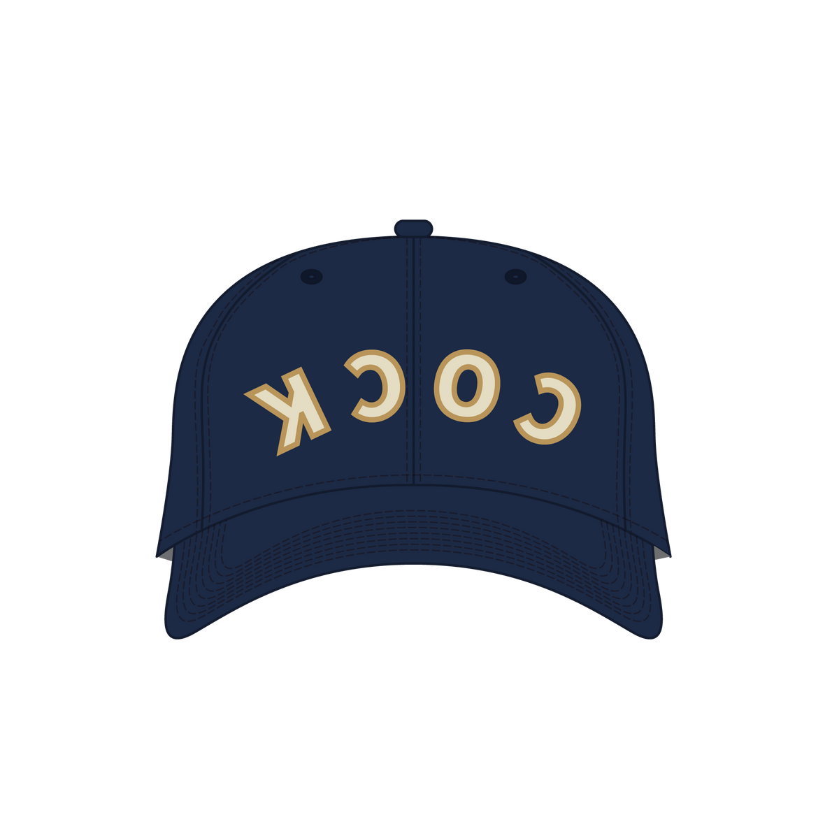 Navy Backwards Hat